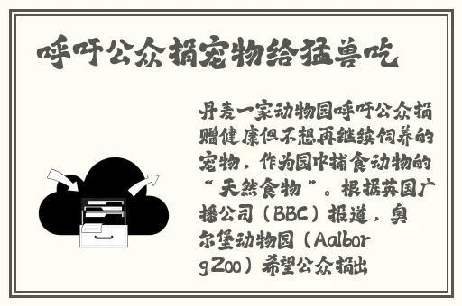 京东影业jd008苏小小